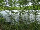 Kleiner Wummsee – Uferbereich im Westen des Sees